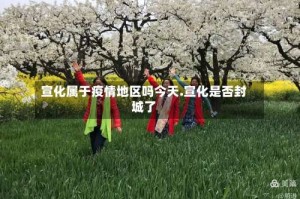 宣化属于疫情地区吗今天.宣化是否封城了