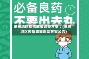 孝感地区疫情政策调整方案︰(孝感地区疫情政策调整方案公告)