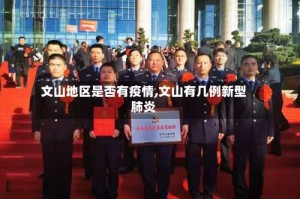 文山地区是否有疫情,文山有几例新型肺炎