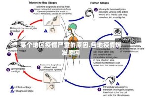 某个地区疫情严重的原因.各地疫情爆发原因