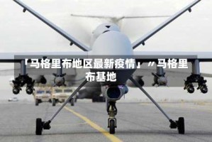 「马格里布地区最新疫情」〃马格里布基地