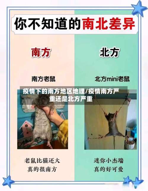 疫情下的南方地区地理/疫情南方严重还是北方严重-第1张图片
