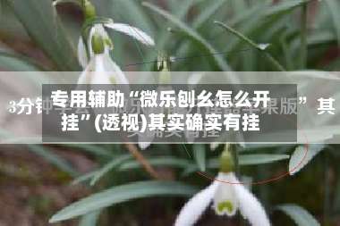 专用辅助“微乐刨幺怎么开挂	”(透视)其实确实有挂-第1张图片