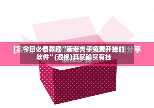 今日必看教程“新老夫子免费开挂的软件”(透视)其实确实有挂-第2张图片
