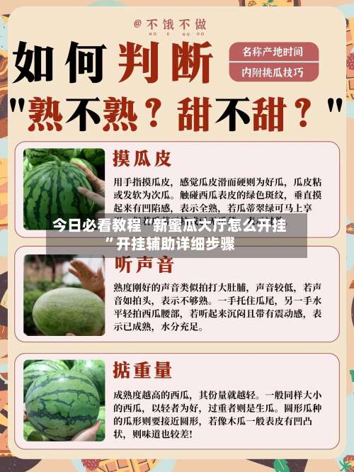 今日必看教程“新蜜瓜大厅怎么开挂”开挂辅助详细步骤-第3张图片