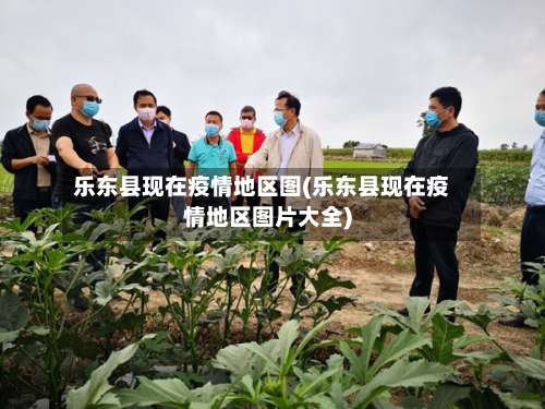 乐东县现在疫情地区图(乐东县现在疫情地区图片大全)-第1张图片