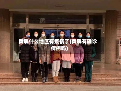 黄骅什么地区有疫情了(黄骅有确诊病例吗)-第2张图片