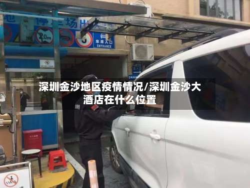 深圳金沙地区疫情情况/深圳金沙大酒店在什么位置-第2张图片