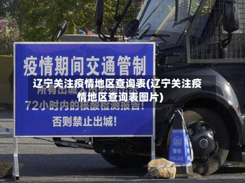 辽宁关注疫情地区查询表(辽宁关注疫情地区查询表图片)-第2张图片