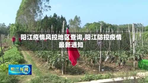 阳江疫情风控地区查询,阳江防控疫情最新通知-第1张图片