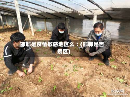 邯郸是疫情敏感地区么︰(邯郸是否疫区)-第1张图片