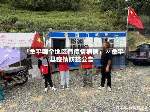 「金平哪个地区有疫情病例」〃金平县疫情防控公告-第2张图片