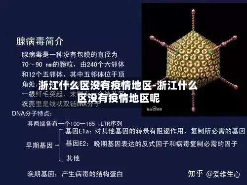 浙江什么区没有疫情地区-浙江什么区没有疫情地区呢-第1张图片