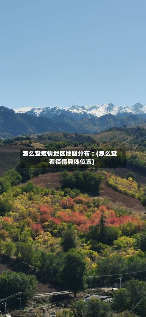 怎么查疫情地区地图分布︰(怎么查看疫情具体位置)-第3张图片