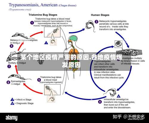 某个地区疫情严重的原因.各地疫情爆发原因-第1张图片