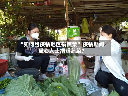 “如何给疫情地区捐蔬菜” 疫情期间爱心人士捐赠蔬菜？-第1张图片