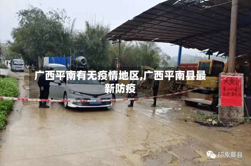 广西平南有无疫情地区,广西平南县最新防疫-第1张图片
