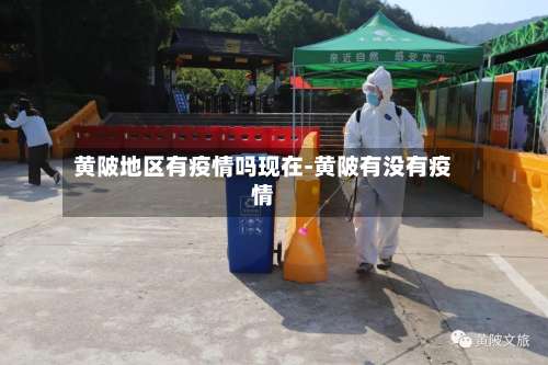 黄陂地区有疫情吗现在-黄陂有没有疫情-第2张图片