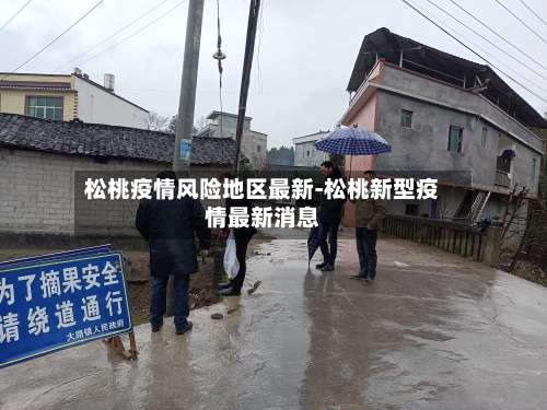 松桃疫情风险地区最新-松桃新型疫情最新消息-第2张图片