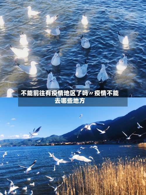 不能前往有疫情地区了吗〃疫情不能去哪些地方-第2张图片