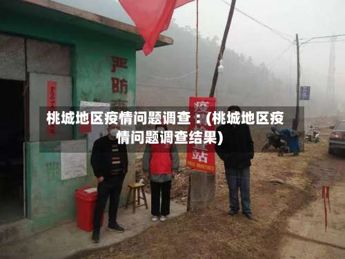 桃城地区疫情问题调查︰(桃城地区疫情问题调查结果)-第3张图片