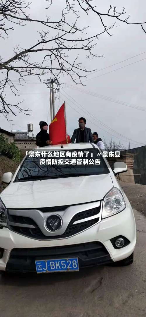 「景东什么地区有疫情了」〃景东县疫情防控交通管制公告-第1张图片