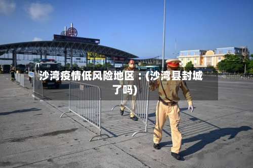沙湾疫情低风险地区︰(沙湾县封城了吗)-第1张图片