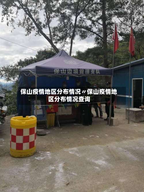 保山疫情地区分布情况〃保山疫情地区分布情况查询-第3张图片