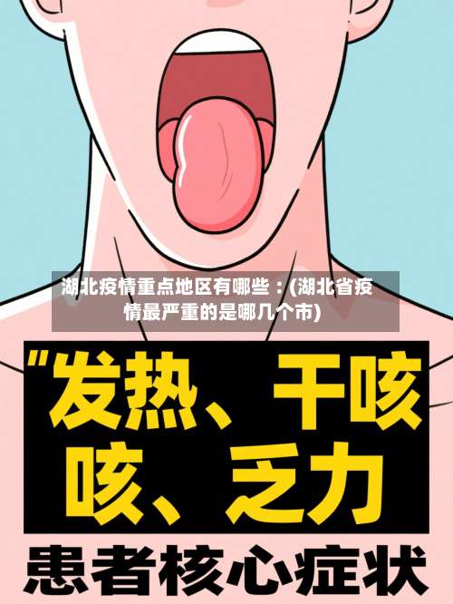 湖北疫情重点地区有哪些︰(湖北省疫情最严重的是哪几个市)-第3张图片