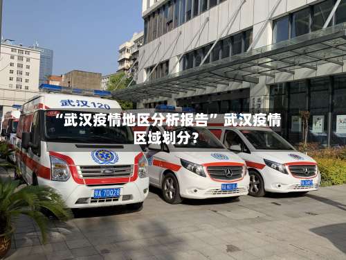 “武汉疫情地区分析报告	” 武汉疫情区域划分？-第3张图片