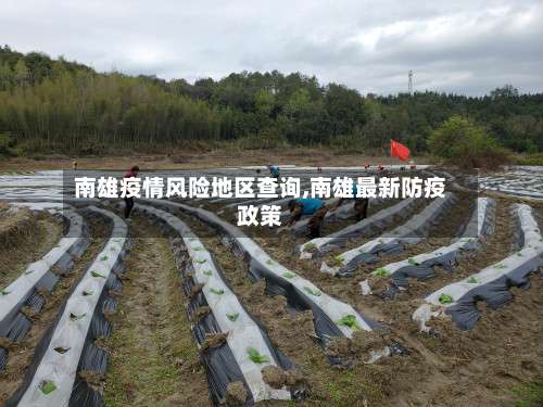 南雄疫情风险地区查询,南雄最新防疫政策-第3张图片