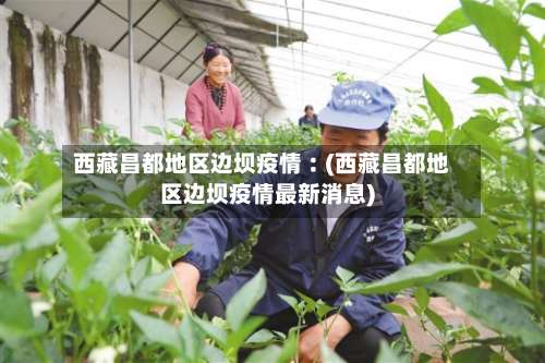 西藏昌都地区边坝疫情︰(西藏昌都地区边坝疫情最新消息)-第2张图片