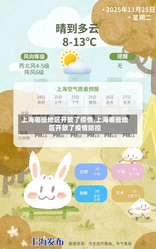 上海哪些地区开放了疫情,上海哪些地区开放了疫情防控-第2张图片