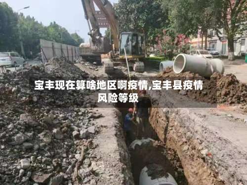 宝丰现在算啥地区啊疫情,宝丰县疫情风险等级-第3张图片