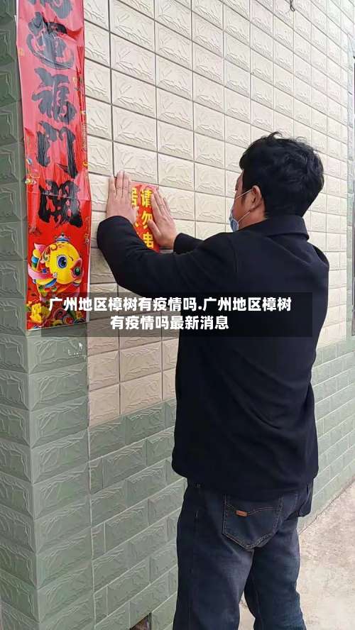 广州地区樟树有疫情吗.广州地区樟树有疫情吗最新消息-第3张图片