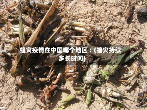 蝗灾疫情在中国哪个地区︰(蝗灾持续多长时间)-第1张图片