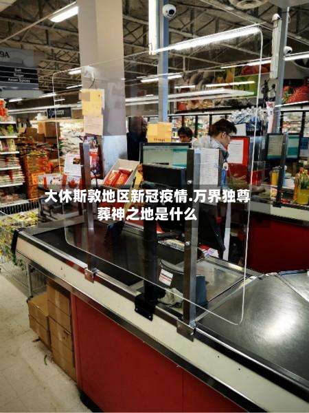 大休斯敦地区新冠疫情.万界独尊葬神之地是什么-第3张图片