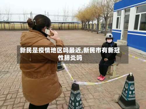 新民是疫情地区吗最近,新民市有新冠性肺炎吗-第1张图片